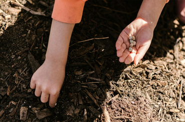 the law of compensation: seeds, soil, and the harvest you create the law of compensation: seeds, soil, and the harvest you create