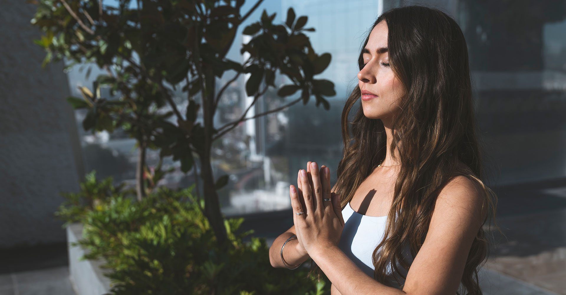 daily manifesting tips daily manifesting tips